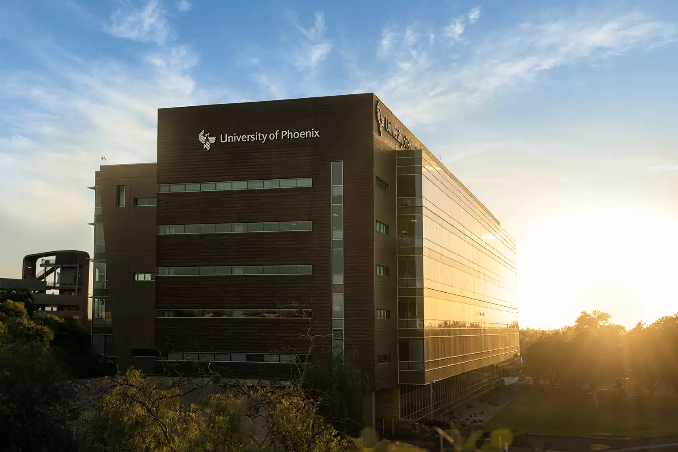 What You Need to Know about the University of Phoenix Data Breach