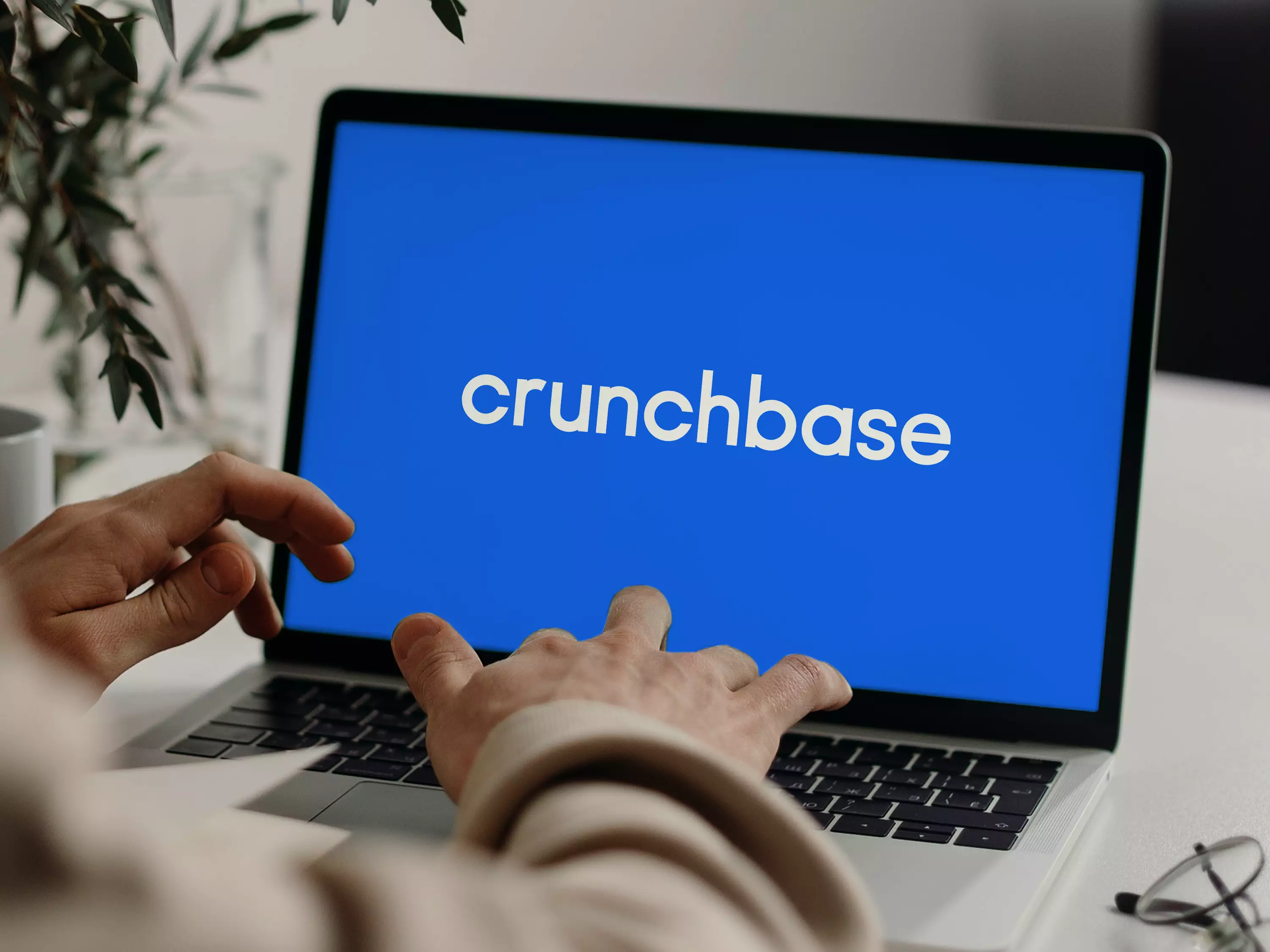 What You Need to Know about the Crunchbase Data Breach