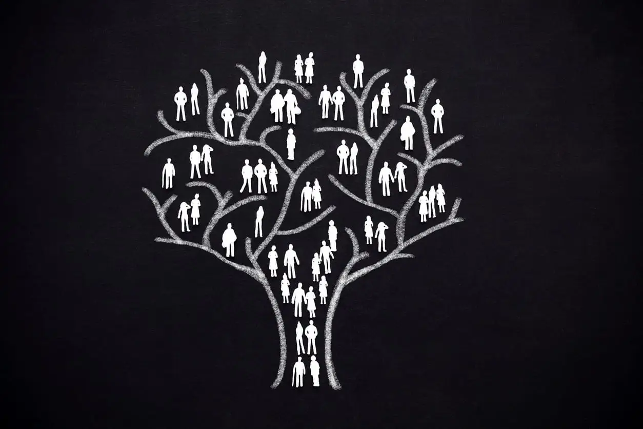 A Step-by-Step Guide to Researching Your Family Tree