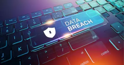 An Inside Look at the Most Targeted Websites in December