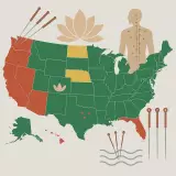 Acupuncture Practice Laws Across U.S. States: Key Differences and Regulations