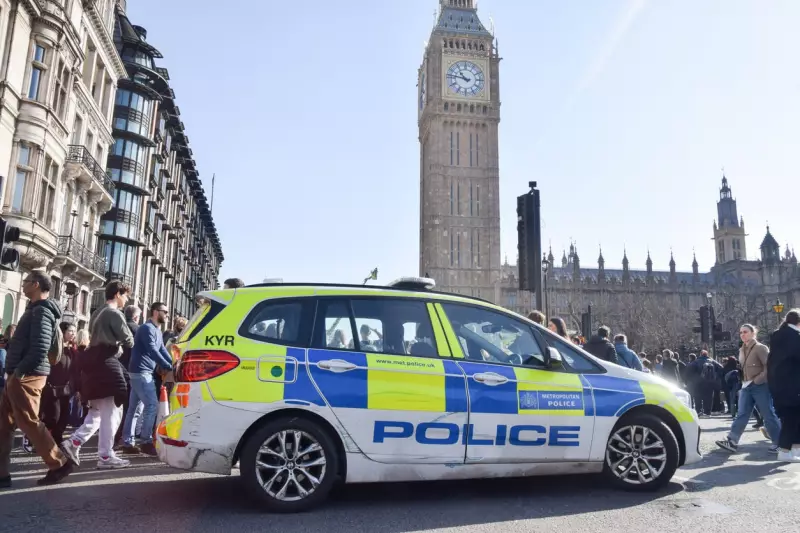 Police Cruiser History 