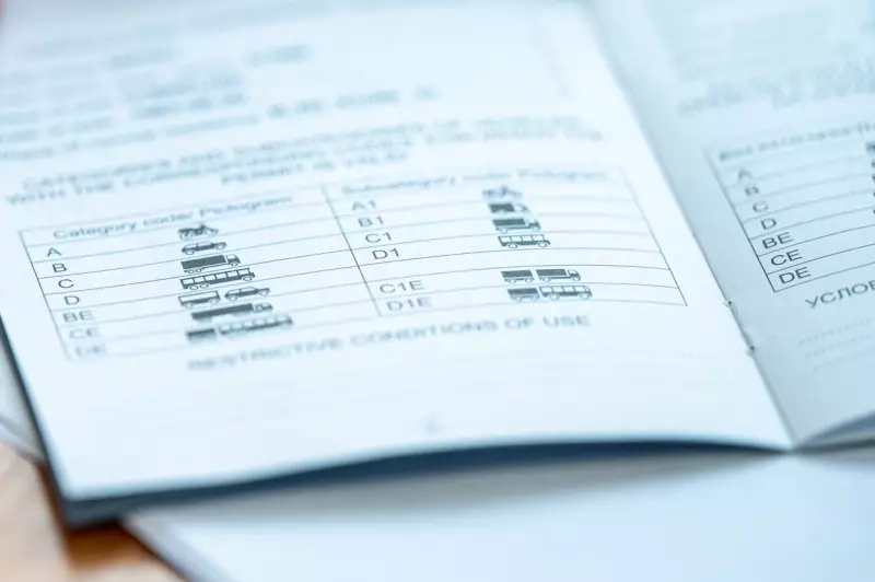 Driver's license points