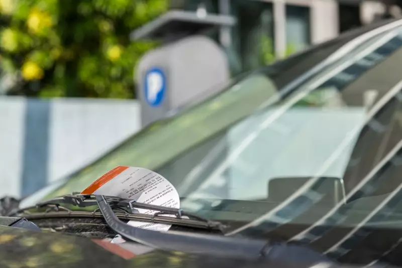 handle Parking Ticket You Didn't Cause